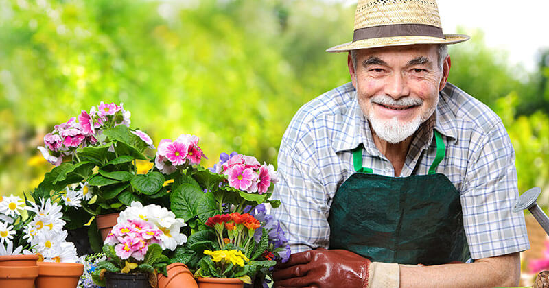 Gentleman potting plants