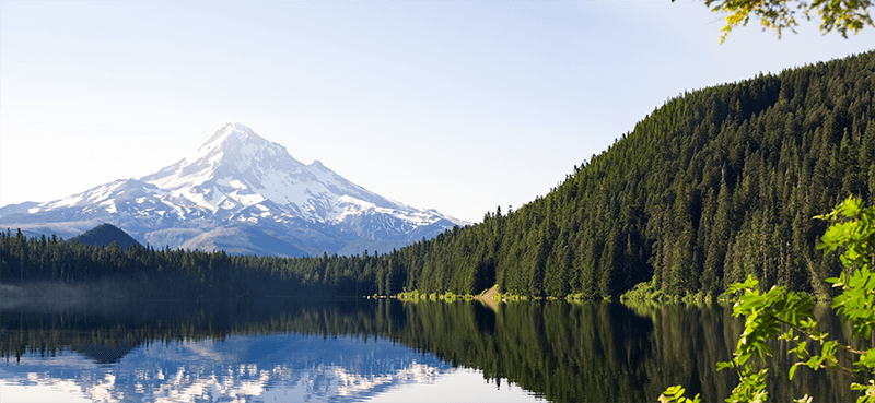 View of Mt. Hood