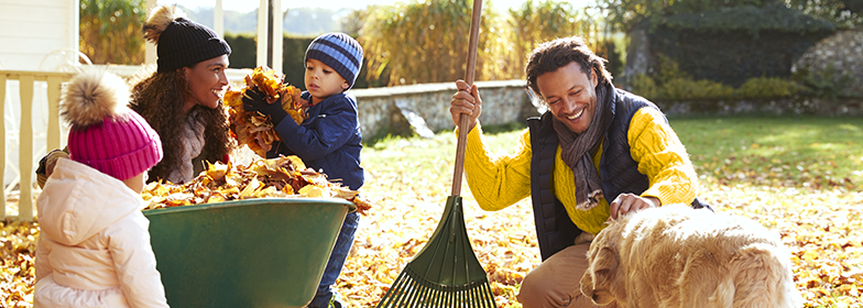 A young family raking the fall leaves