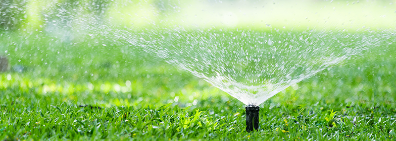 November Blog 4 A sprinkler going off