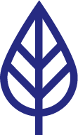 Leaf icon