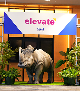 Rhino statue outside Elevate event